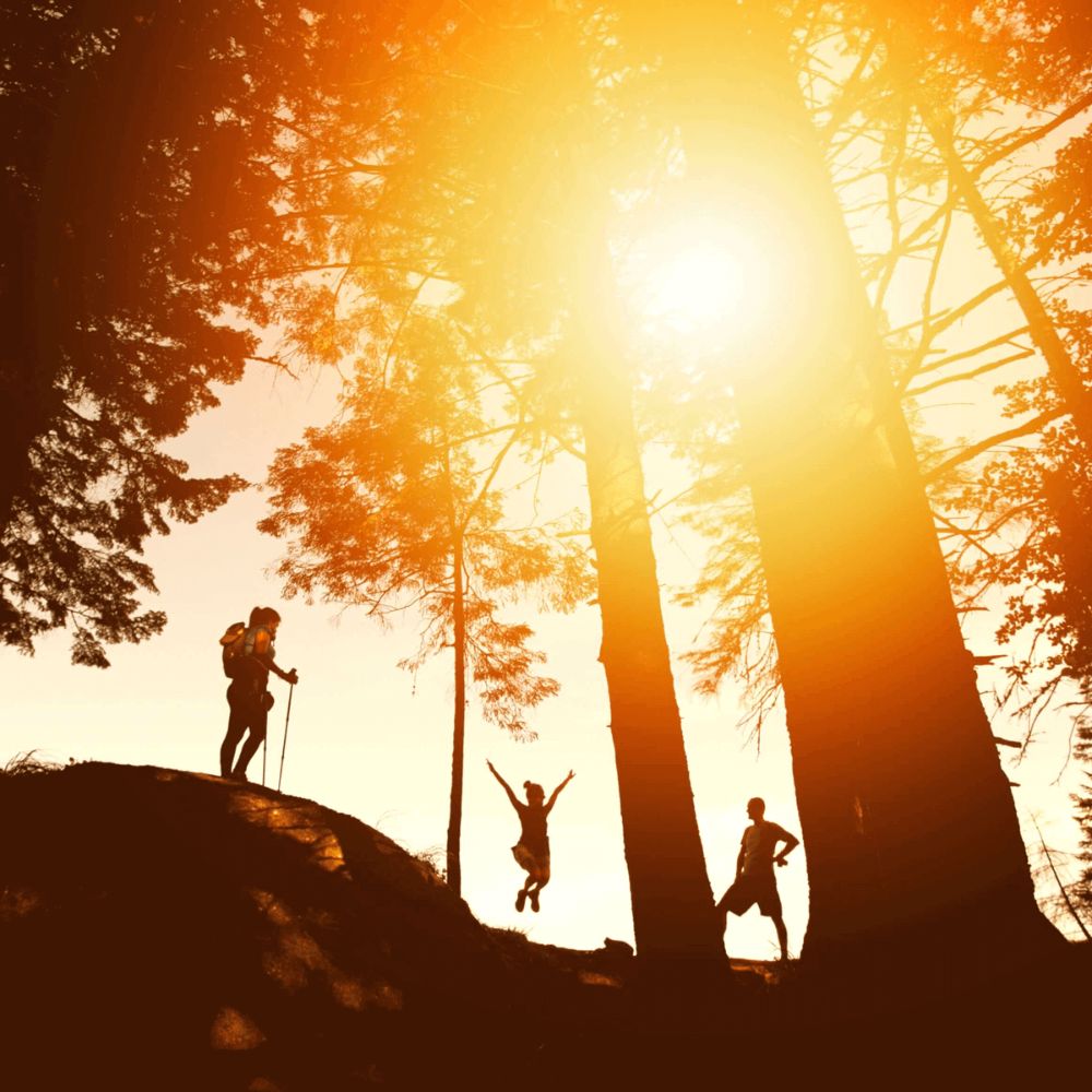 Three shadowed individuals standing in front of a sunset in a forest while seemingly hiking.